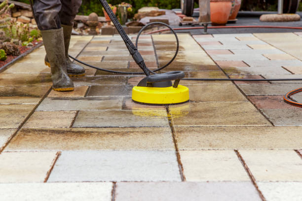 Animal Enclosure Cleaning in Avon, PA